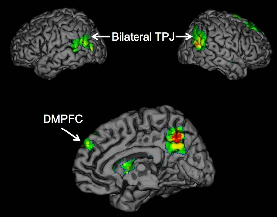 Brain regions TPJ and DMPFC (Click for description) Psychologists report for the first time that the temporoparietal junction (TPJ) and dorsomedial prefrontal cortex (DMPFC) brain regions are associated with the successful spread of ideas, often called 'buzz.'